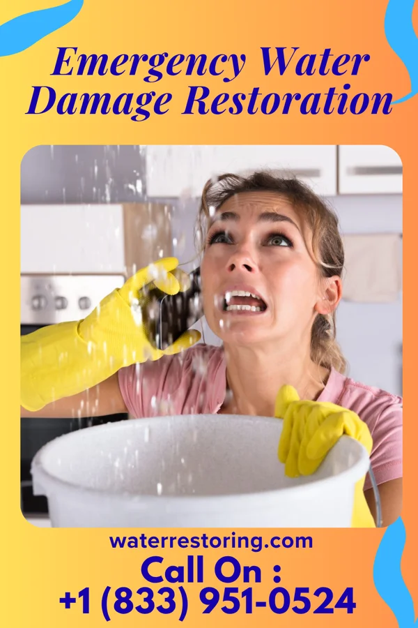 Emergency Water Damage Restoration in El Duende, NM