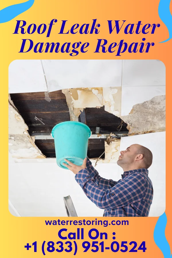 Roof Leak Water Damage Repair in El Duende, NM