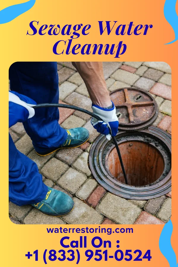 Sewage Water Cleanup in El Duende, NM
