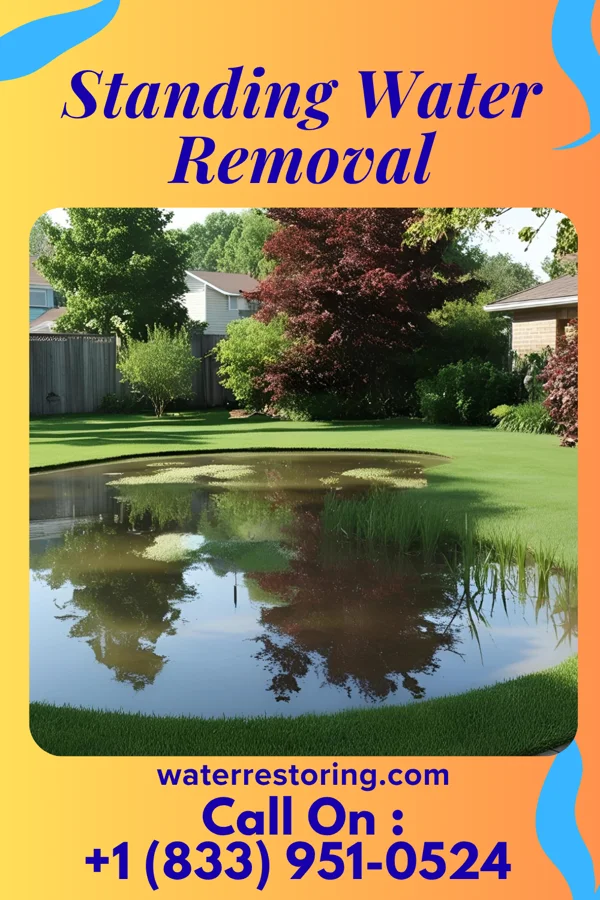 Standing Water Removal in El Duende, NM